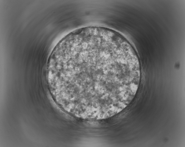 X0000115180911200912091044