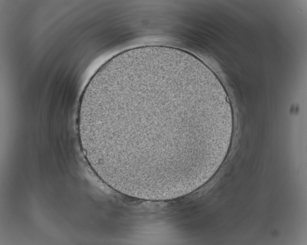 X0000115180912200912091044