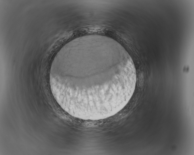 X0000115180913200912091043