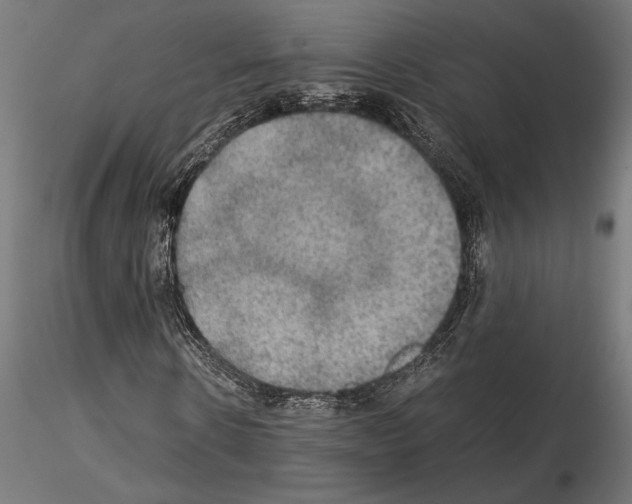 X0000115180914200912091043
