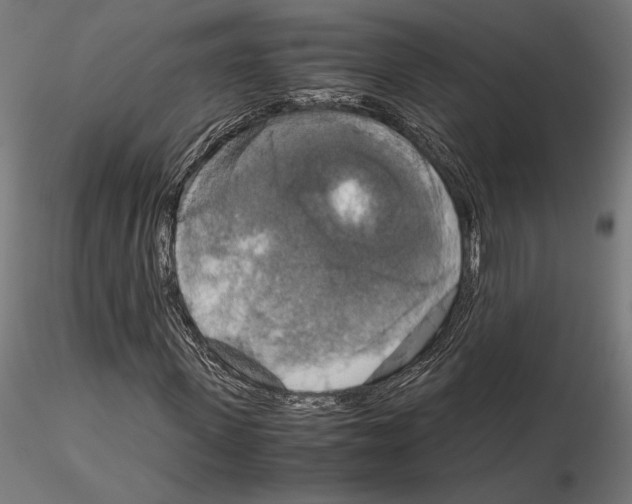X0000115180915200912091043