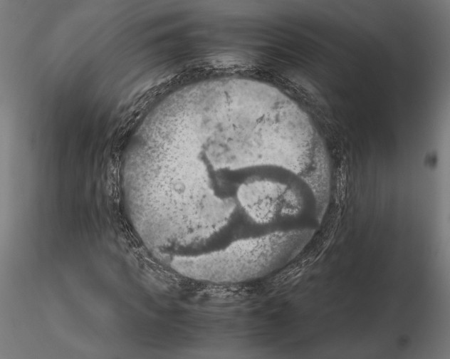 X0000115180917200912091043