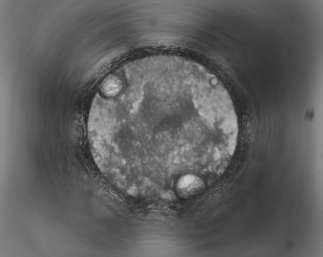 X0000115180918200912091043