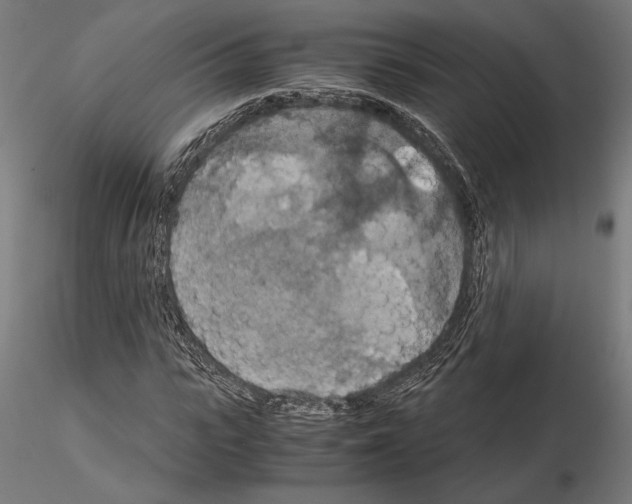 X0000115180919200912091043