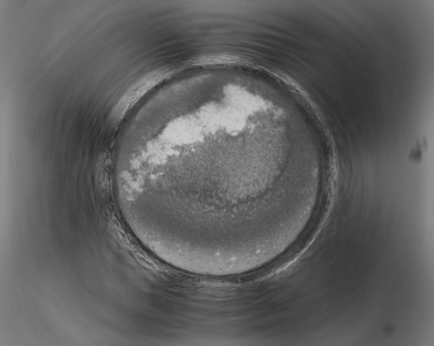 X0000115180921200912091043