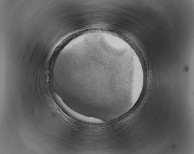X0000115180923200912091043