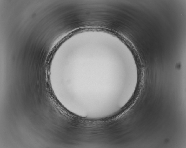 X0000115180925200912091043