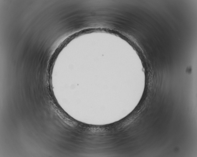 X0000115180927200912091043