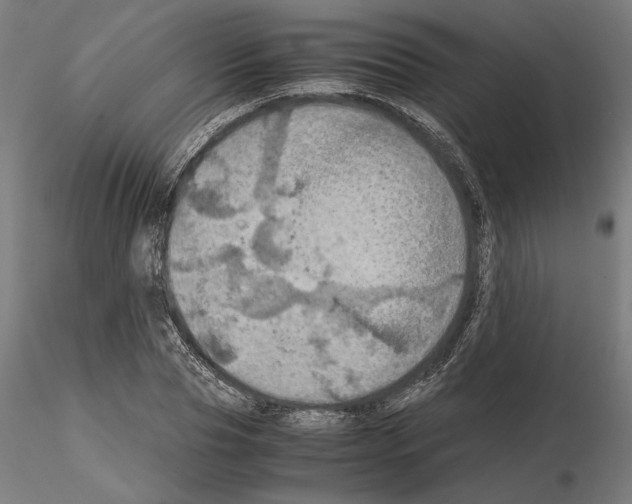 X0000115180929200912091043