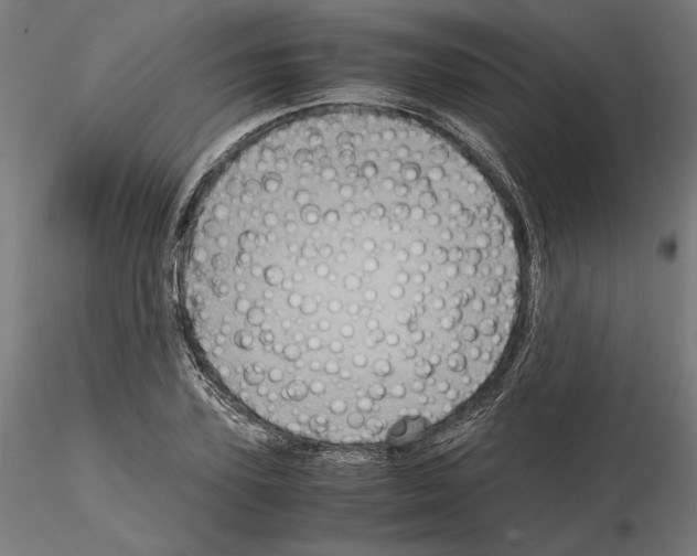 X0000115180931200912091043