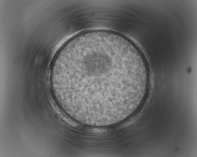 X0000115180933200912091043