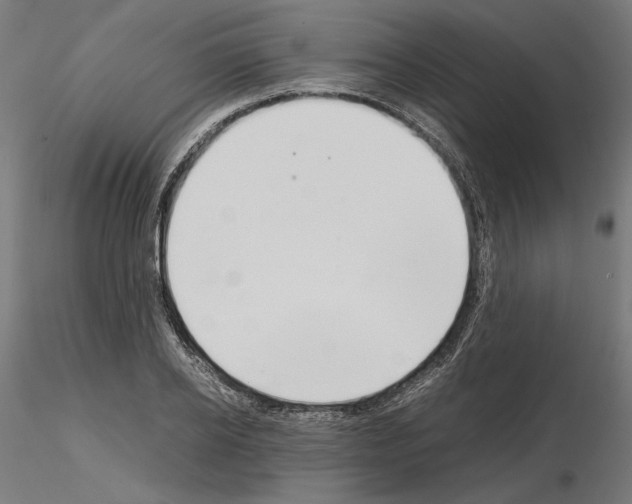 X0000115180934200912091043