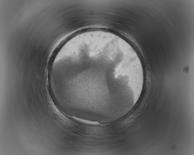 X0000115180935200912091043