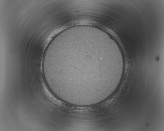 X0000115180938200912091043