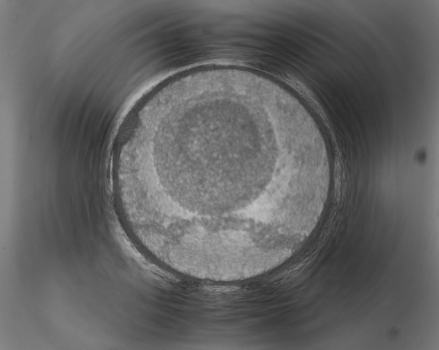 X0000115180939200912091044
