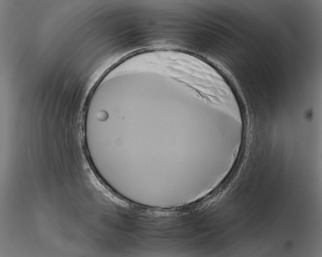 X0000115180941200912091044