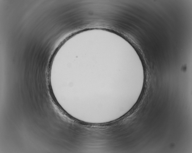X0000115180942200912091044