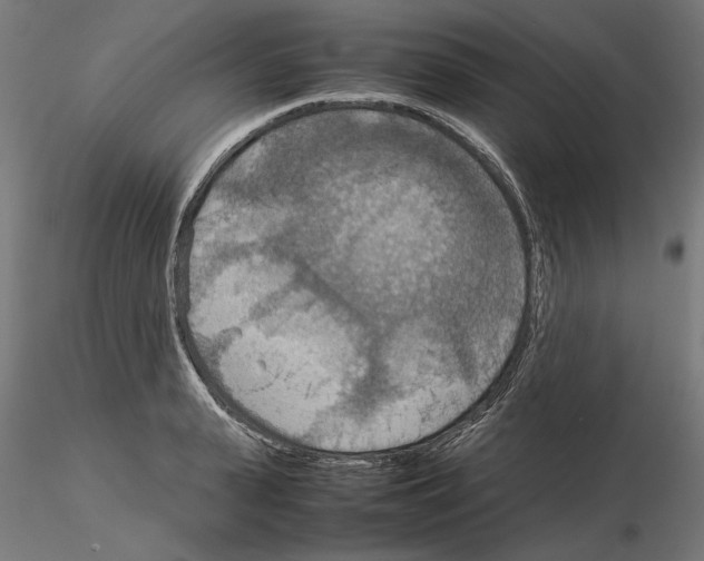 X0000115180943200912091044