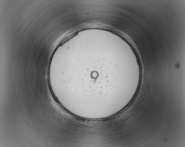 X0000115180946200912091044