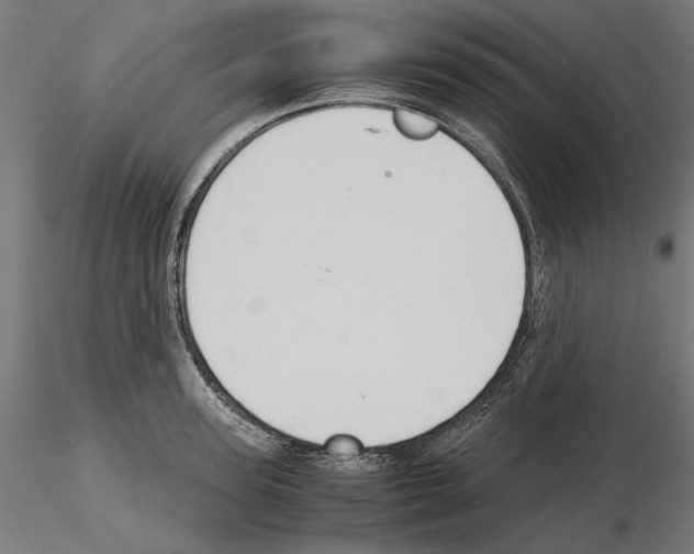 X0000115180947200912091044