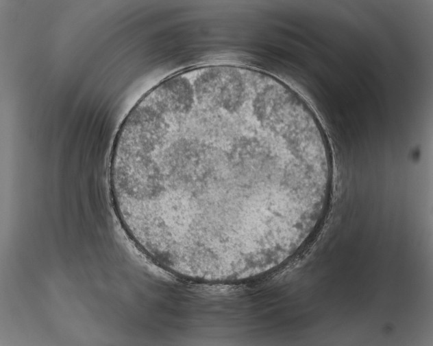 X0000115180949200912091044