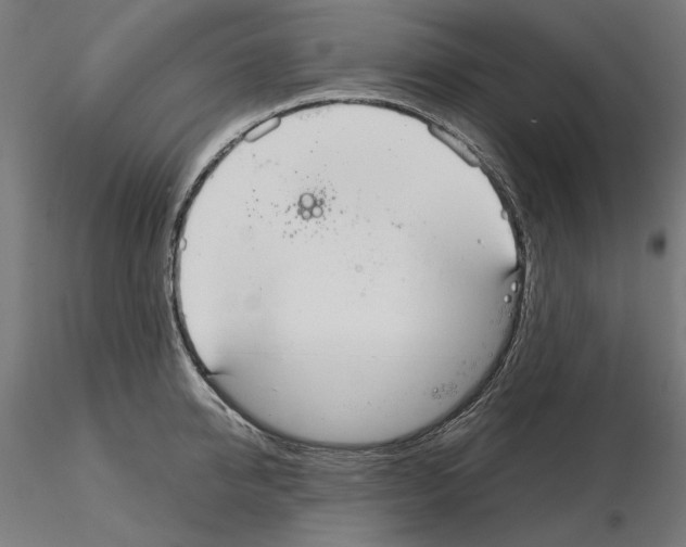 X0000115180950200912091044