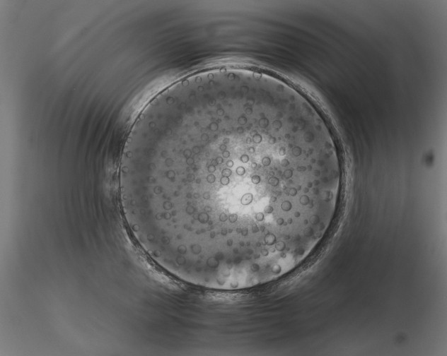 X0000115180953200912091044