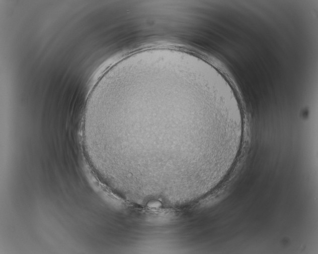 X0000115180954200912091044