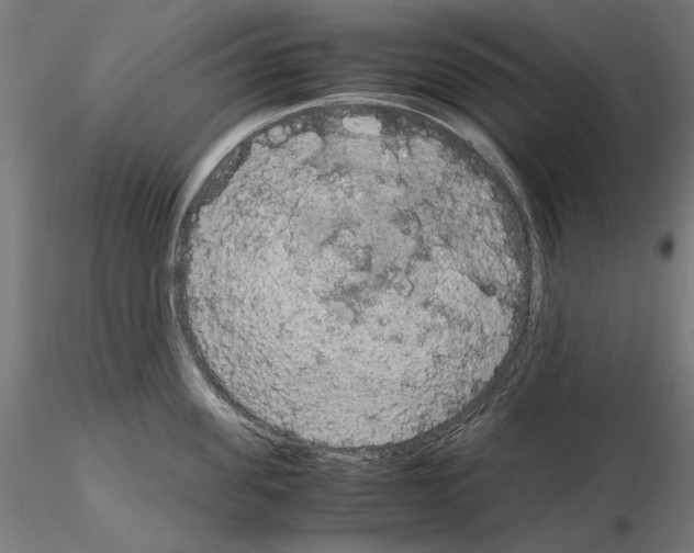 X0000115180955200912091044