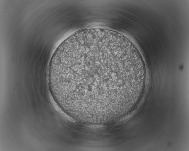X0000115180957200912091044