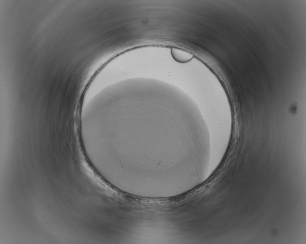 X0000115180958200912091044