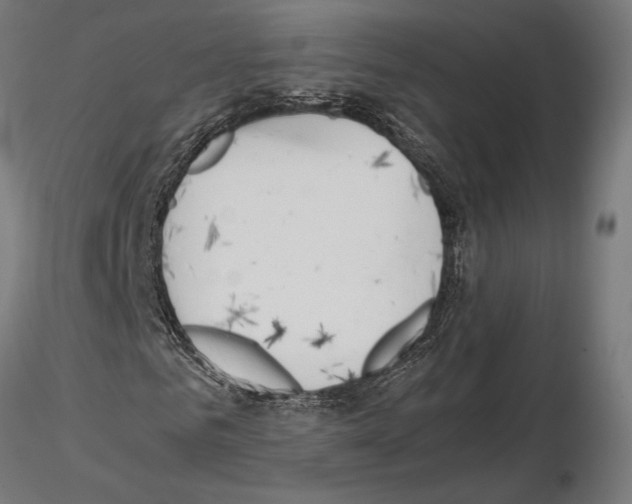 X0000115180961200912091043