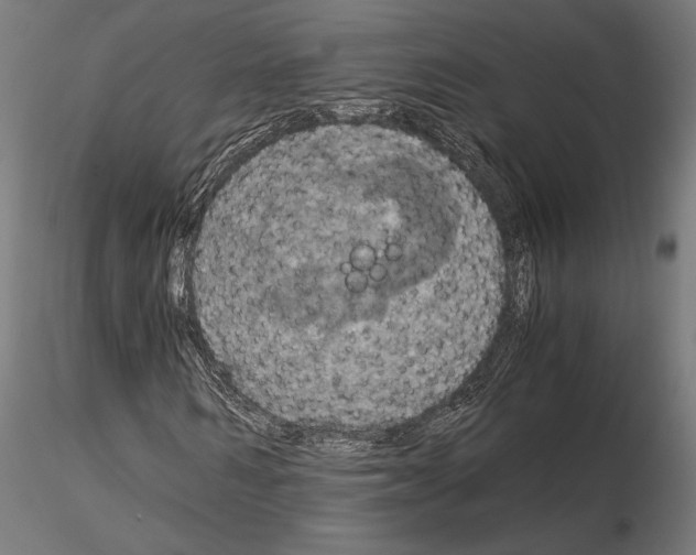 X0000115180962200912091043
