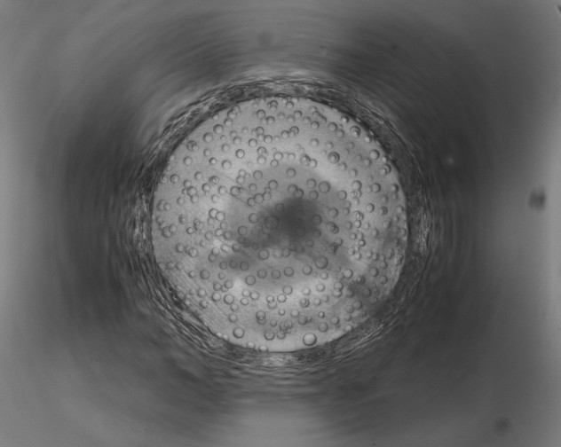 X0000115180966200912091043