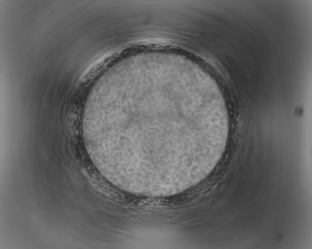 X0000115180967200912091043