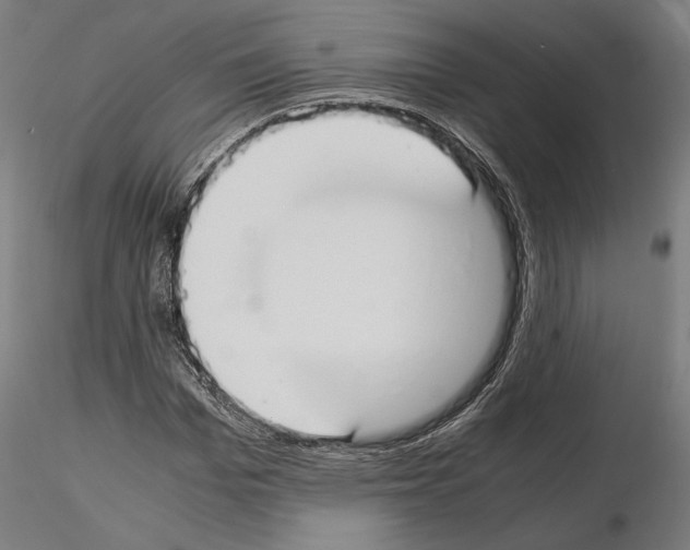 X0000115180969200912091043