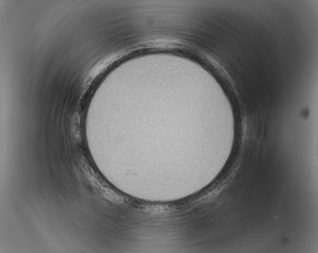 X0000115180970200912091043