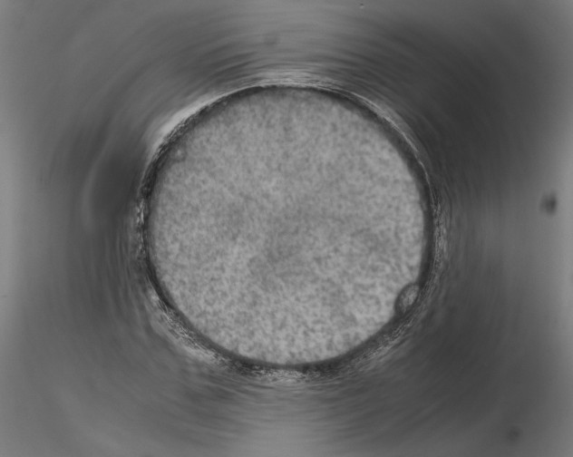 X0000115180971200912091043