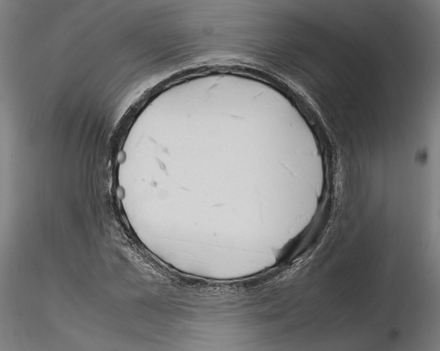 X0000115180973200912091043