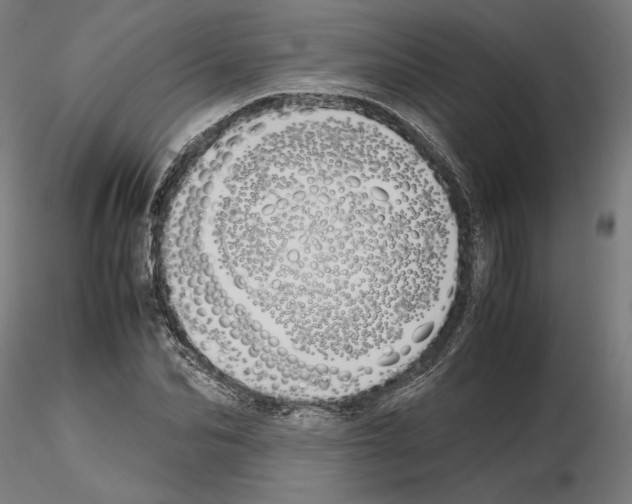 X0000115180974200912091043