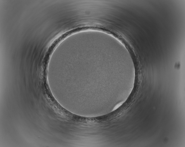 X0000115180975200912091043