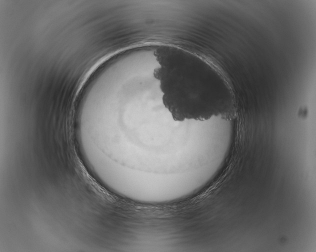 X0000115180976200912091043