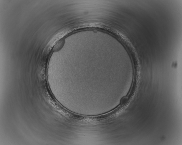 X0000115180977200912091043