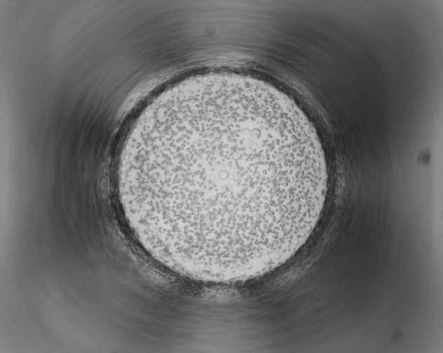 X0000115180978200912091043