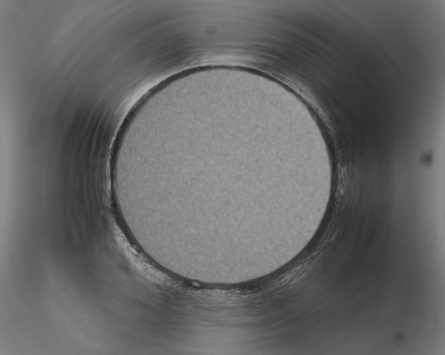 X0000115180980200912091043