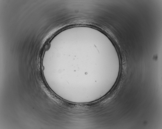 X0000115180981200912091043