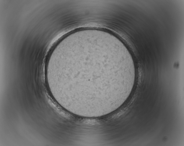 X0000115180982200912091043