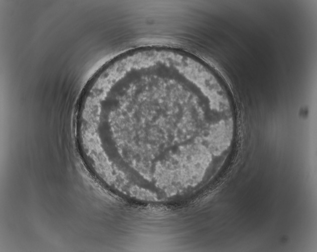 X0000115180983200912091043