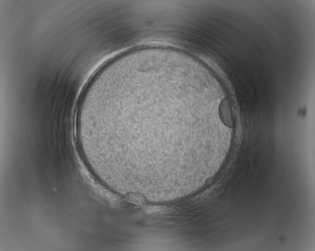 X0000115180984200912091043