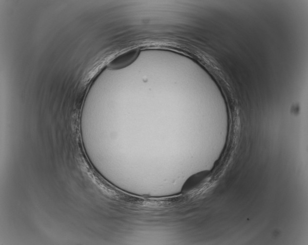 X0000115180985200912091043